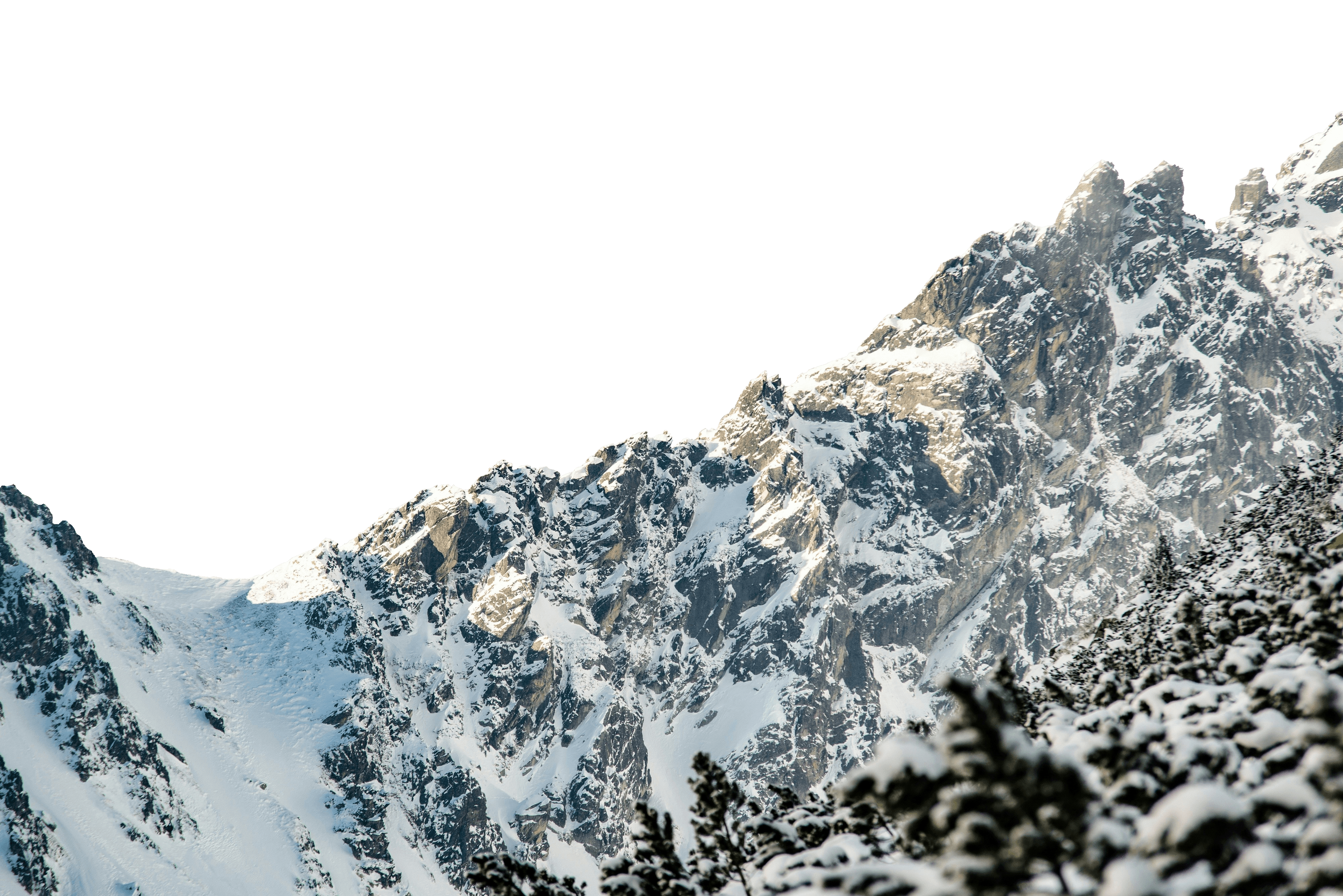 Parallax middle