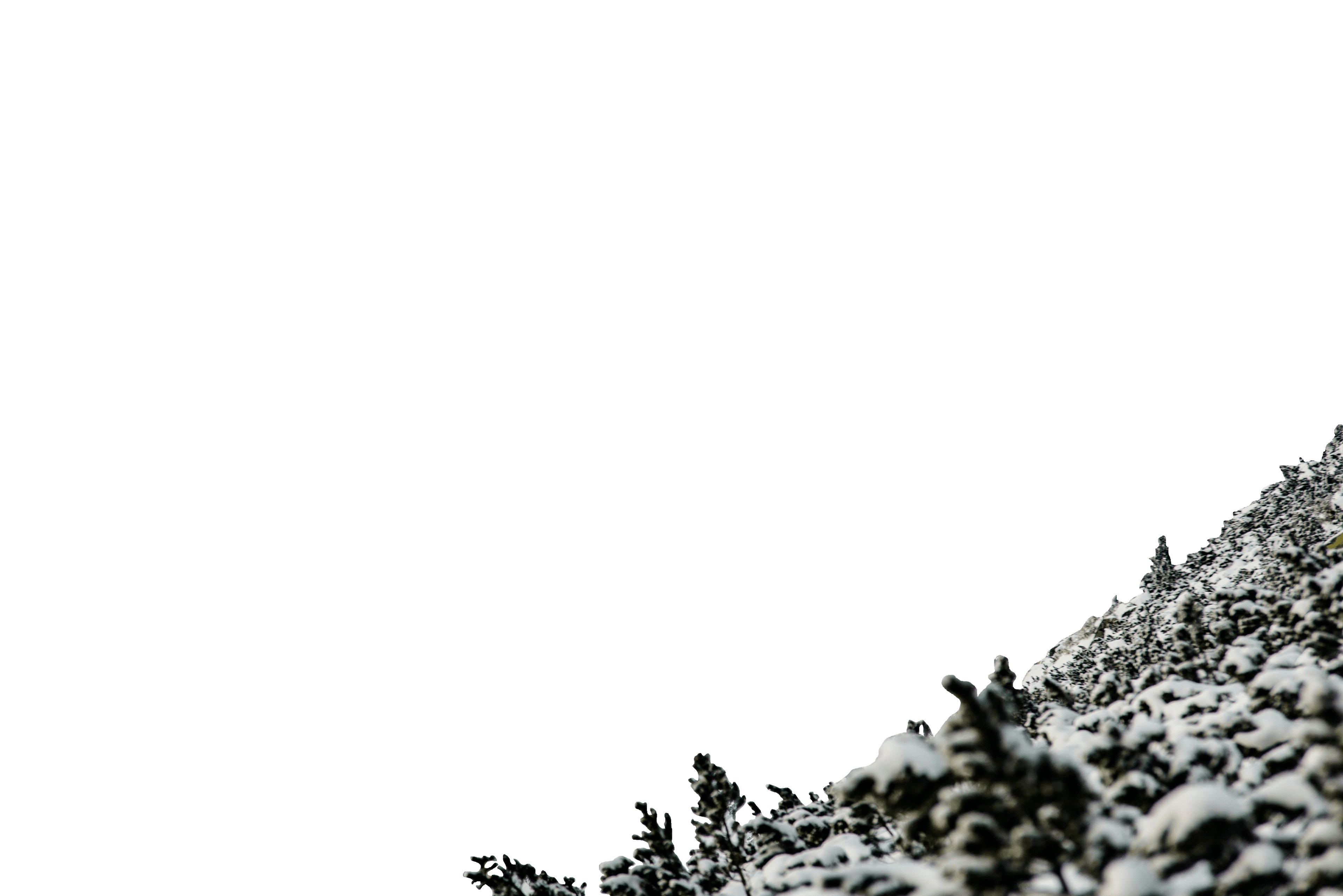 Parallax top